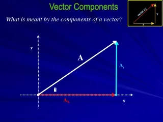 What is meant by the components of a vector?