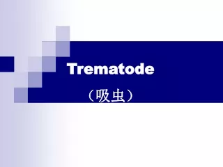 Trematode （吸虫）