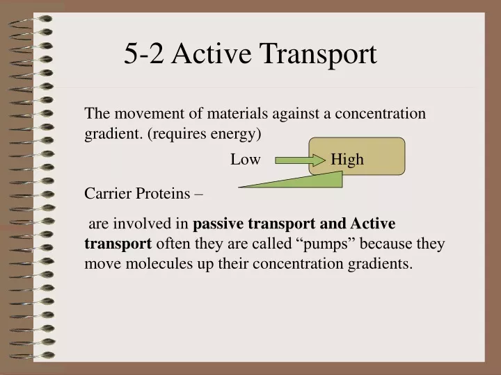 5 2 active transport