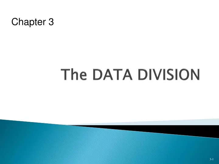 the data division