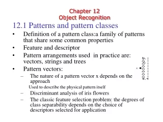 Chapter 12 Object Recognition