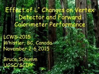 Effect of L *  Changes on Vertex Detector and Forward Calorimeter Performance LCWS 2015