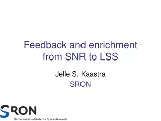 Feedback and enrichment from SNR to LSS