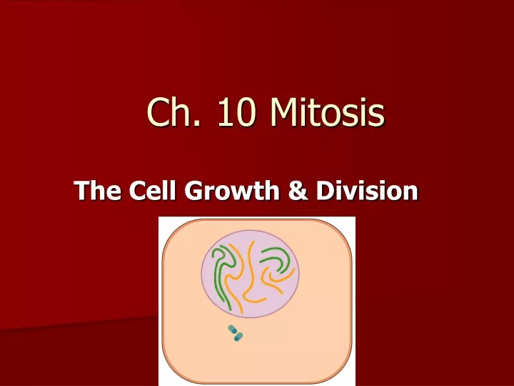 ch 10 mitosis