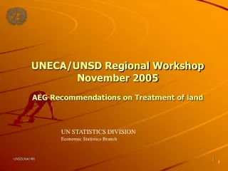 UNECA/UNSD Regional Workshop November 2005 AEG Recommendations on Treatment of land