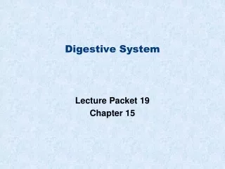 Digestive System