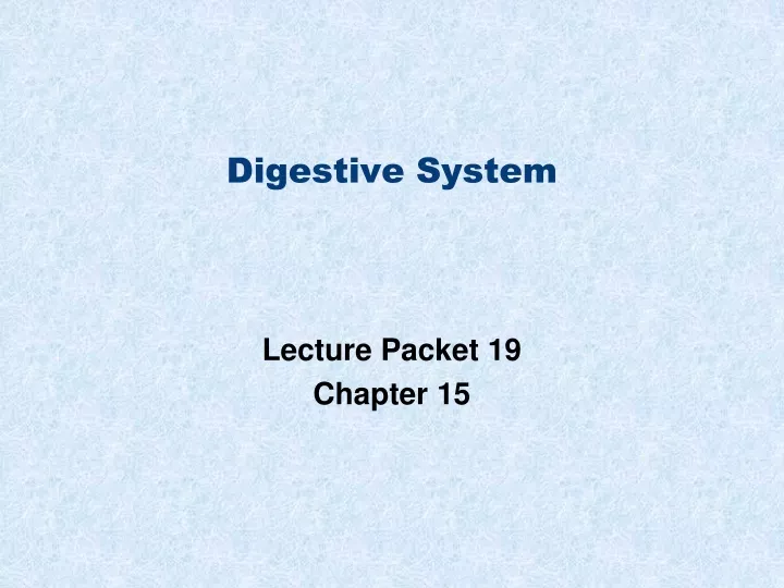 digestive system