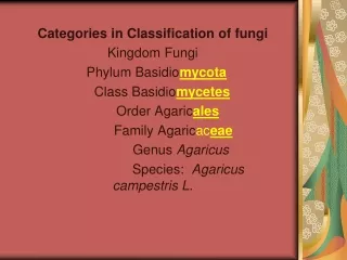 Categories in Classification of fungi  Kingdom Fungi   Phylum Basidio mycota
