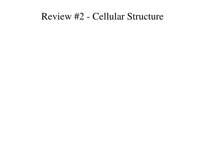 review 2 cellular structure