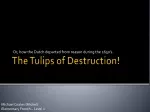 The Tulips of Destruction!