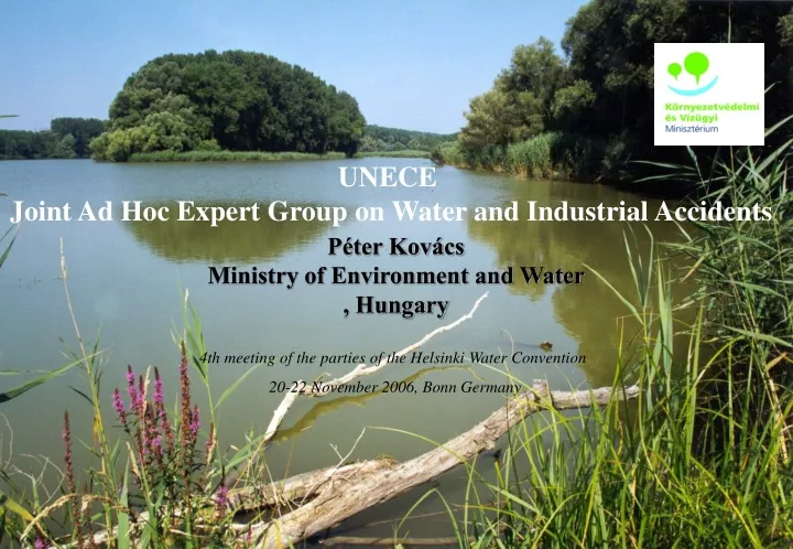 unece joint ad hoc expert group on water