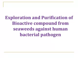 Exploration and Purification of Bioactive compound from seaweeds against human bacterial pathogen
