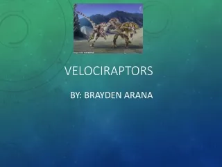 Velociraptors