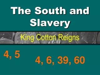 The South and Slavery