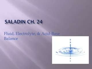 Saladin Ch. 24