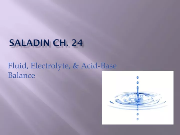 saladin ch 24