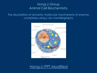 Hong Li Group   Animal Cell Biochemistry