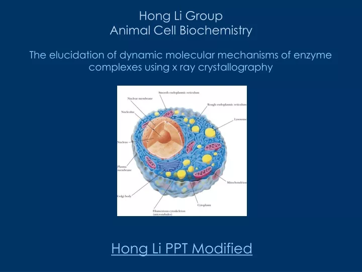 hong li group animal cell biochemistry