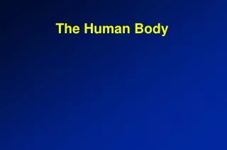 The Human Body