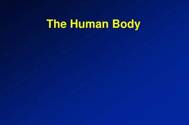 the human body