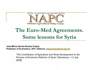 The Euro-Med Agreements. Some lessons for Syria