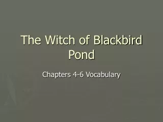 The Witch of Blackbird Pond