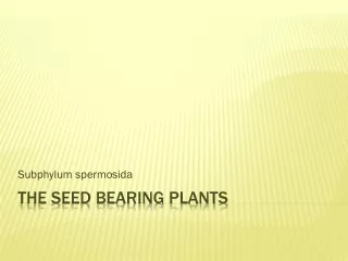 The seed bearing plants