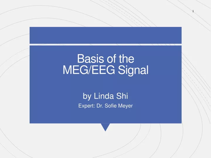 basis of the meg eeg signal