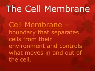 The Cell Membrane