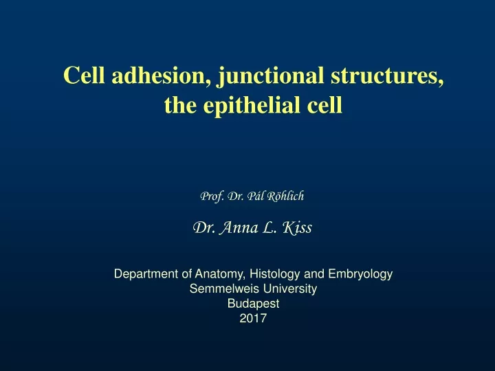 cell adhesion junctional structures