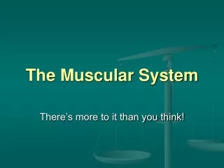 The Muscular System