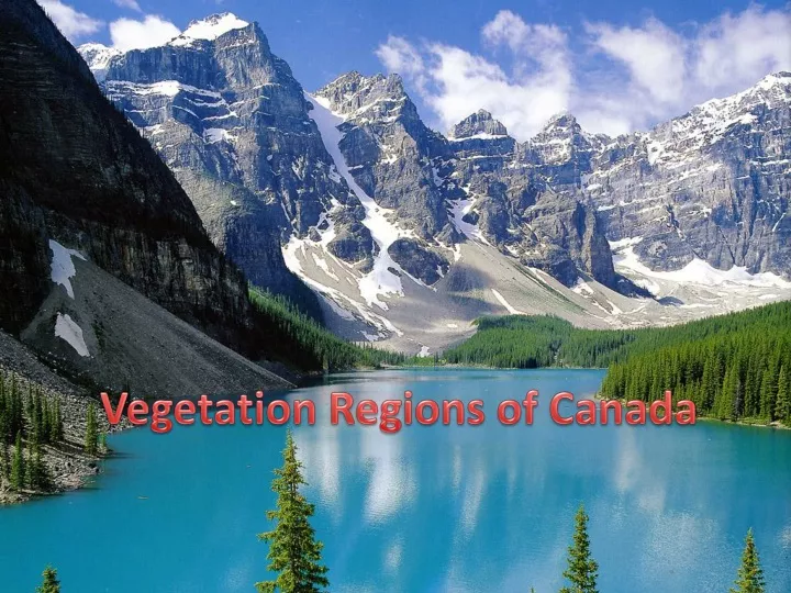 vegetation regions of canada