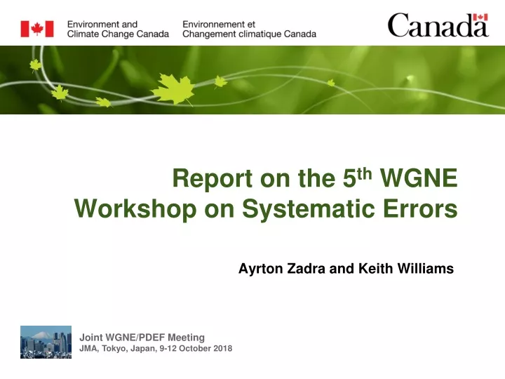 report on the 5 th wgne workshop on systematic