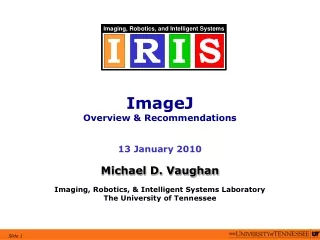 ImageJ  Overview &amp; Recommendations