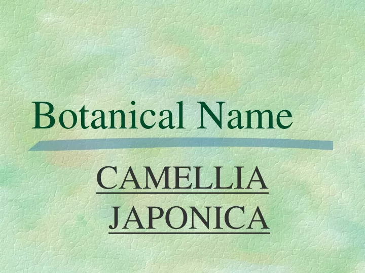 botanical name