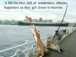 A life for two, full of  tenderness, obtains happiness as they get closer to heaven.