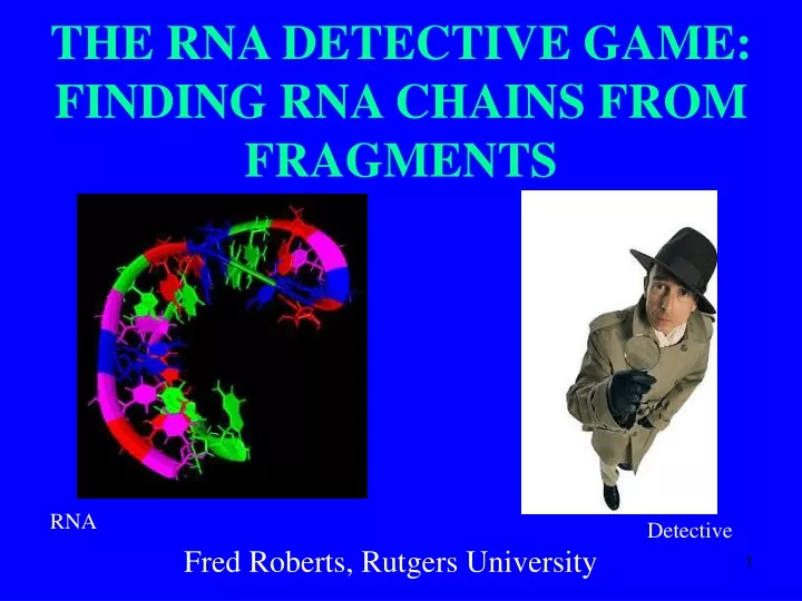 the rna detective game finding rna chains from