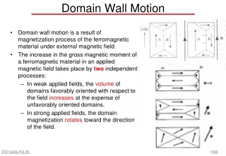 Domain Wall Motion