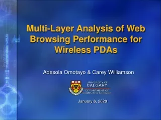 Multi-Layer Analysis of Web Browsing Performance for Wireless PDAs
