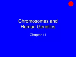 Chromosomes and Human Genetics