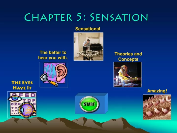 chapter 5 sensation