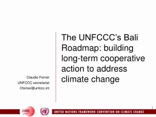 Claudio Forner UNFCCC secretariat Cforner@unfccct