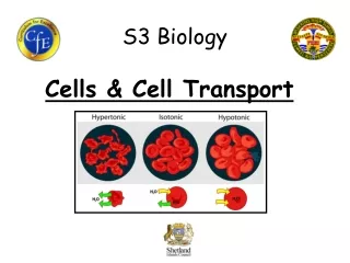 S3 Biology