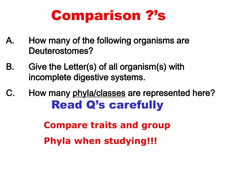 comparison s