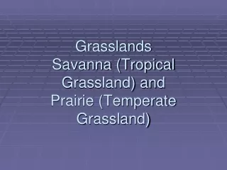 Grasslands Savanna (Tropical Grassland) and  Prairie (Temperate Grassland)