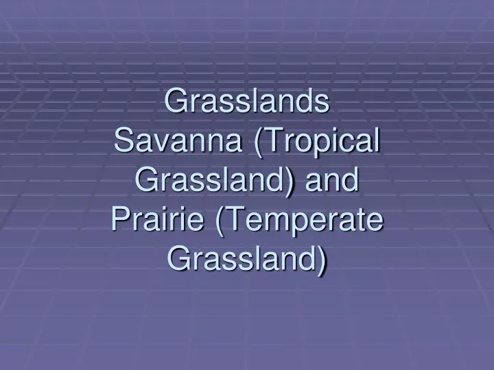 grasslands savanna tropical grassland and prairie temperate grassland