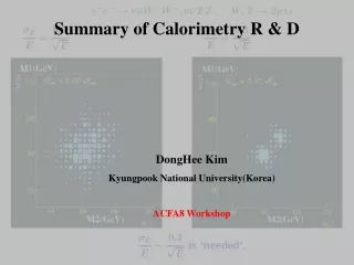 Summary of Calorimetry R &amp; D