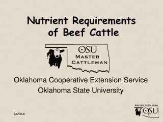 Nutrient Requirements  of Beef Cattle