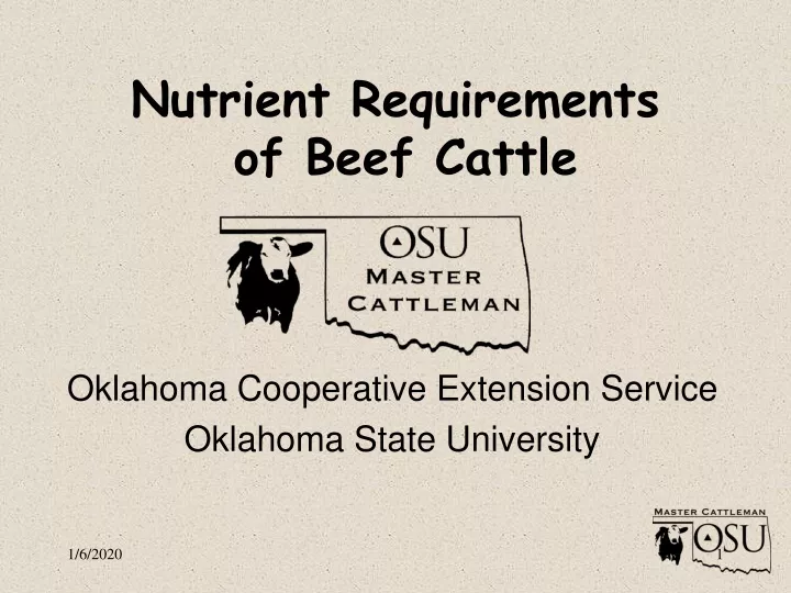 nutrient requirements of beef cattle