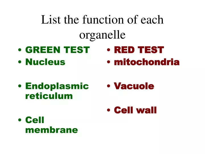 list the function of each organelle